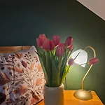 Daire W Olchach - Lokal Brzozka