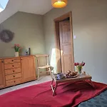 W Olchach - Lokal Brzozka *