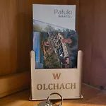 Daire W Olchach - Lokal Brzozka