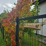 W Olchach - Lokal Brzozka