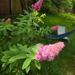 W Olchach - Lokal Brzozka * Wiktorowo