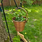 W Olchach - Lokal Brzozka Wiktorowo