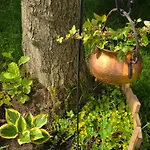 Daire W Olchach - Lokal Brzozka