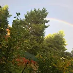 Daire W Olchach - Lokal Brzozka Wiktorowo