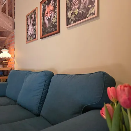 W Olchach - Lokal Brzózka Apartament *