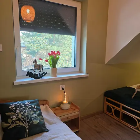 Apartament W Olchach - Lokal Brzózka *