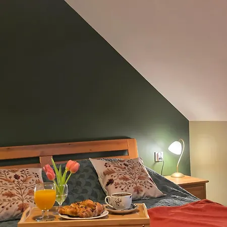 W Olchach - Lokal Brzózka Apartament