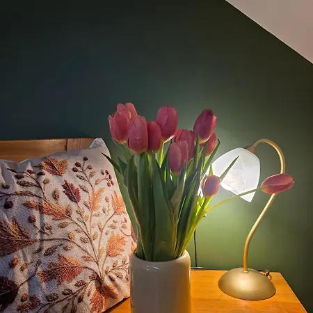 Apartamento W Olchach - Lokal Brzózka
