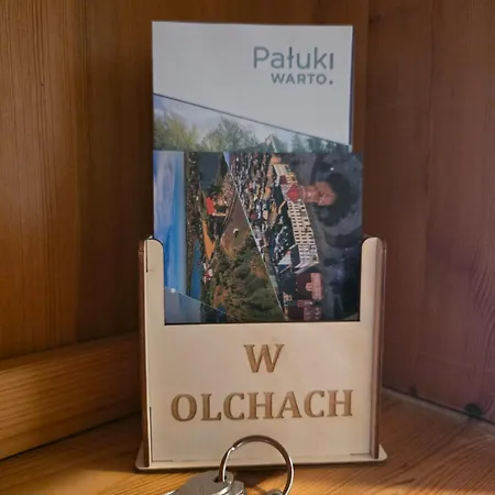 Apartament W Olchach - Lokal Brzózka