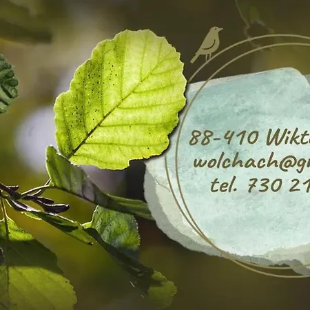 W Olchach - Lokal Brzózka Apartamento