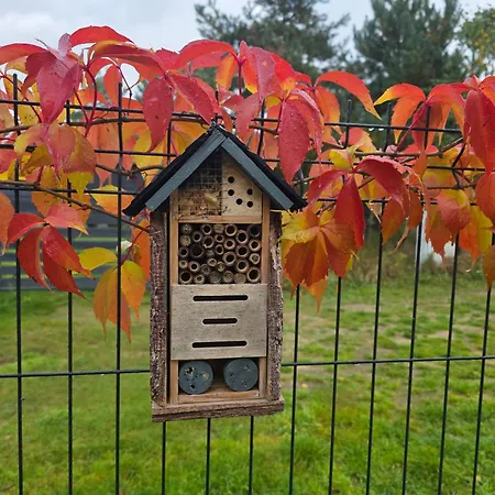 W Olchach - Lokal Brzozka