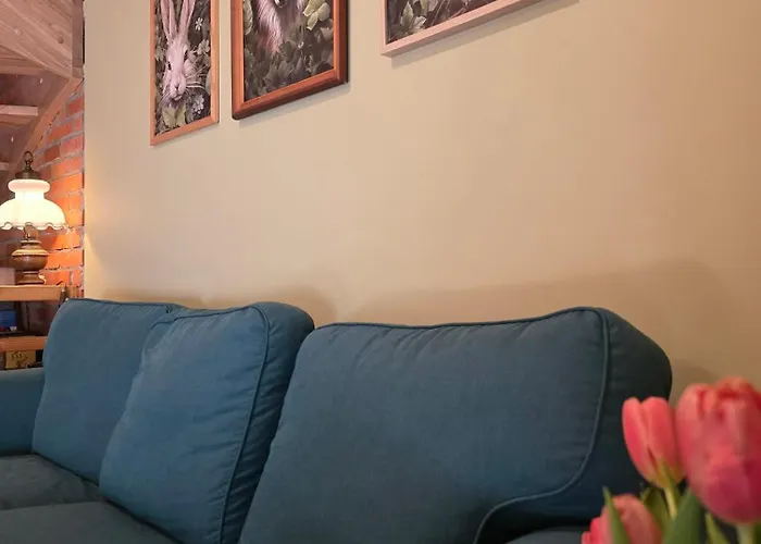 W Olchach - Lokal Brzozka Appartement *