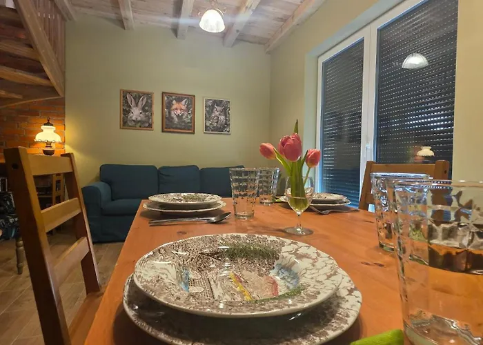 Apartment W Olchach - Lokal Brzozka Wiktorowo