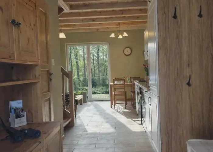 W Olchach - Lokal Brzozka *