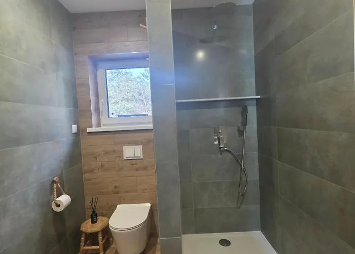 Apartment W Olchach - Lokal Brzozka