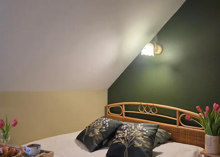 W Olchach - Lokal Brzozka