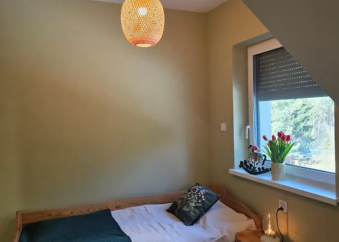 W Olchach - Lokal Brzozka Apartment