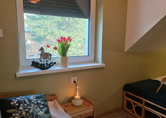 Apartment W Olchach - Lokal Brzozka *