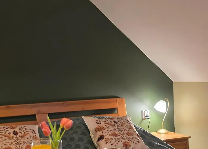 W Olchach - Lokal Brzozka Apartment