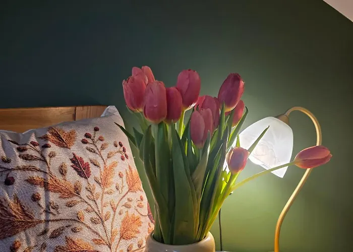 Appartement W Olchach - Lokal Brzozka