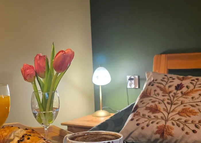 W Olchach - Lokal Brzozka