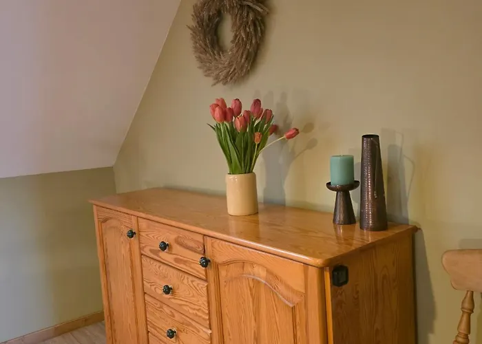 W Olchach - Lokal Brzozka * Wiktorowo