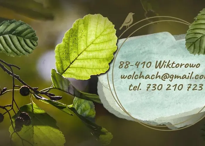 W Olchach - Lokal Brzozka Appartement