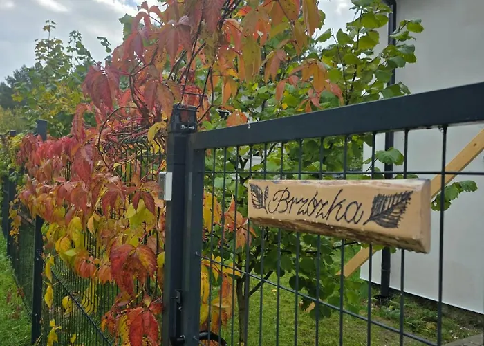 W Olchach - Lokal Brzozka