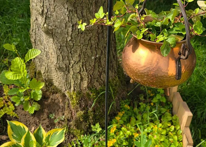 Apartment W Olchach - Lokal Brzozka