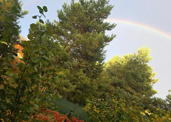 Appartement W Olchach - Lokal Brzozka Wiktorowo