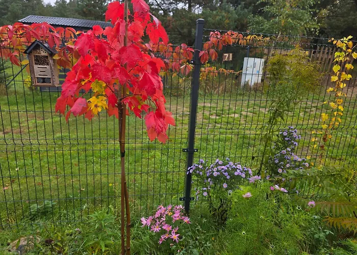 Appartement W Olchach - Lokal Brzozka *