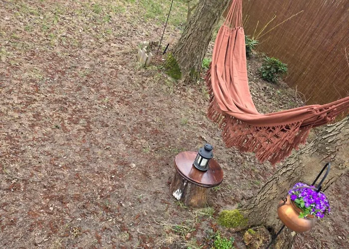 Apartment W Olchach - Lokal Brzozka